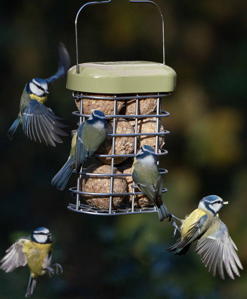 Ruokinta Premium Suet Feeder, Jacobi Jayne talipalloteline